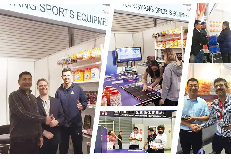 Pro-Grade Table Tennis Racket – Precision Engineered for Victory! (20)