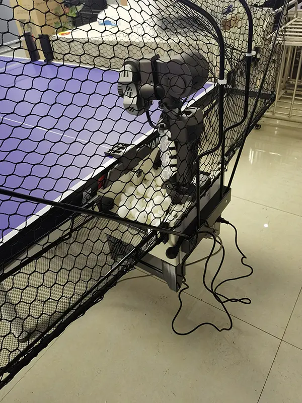 pingpong (2)