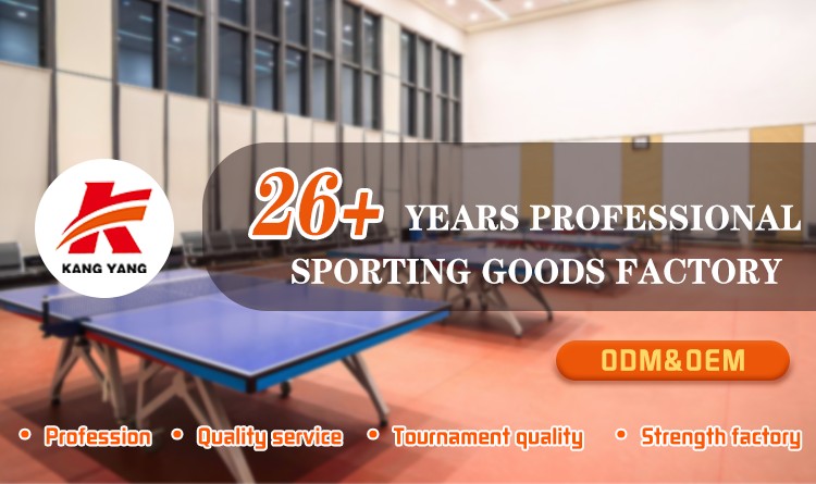 Folding Table Tennis Table with Wheels Indoor OEM (10)