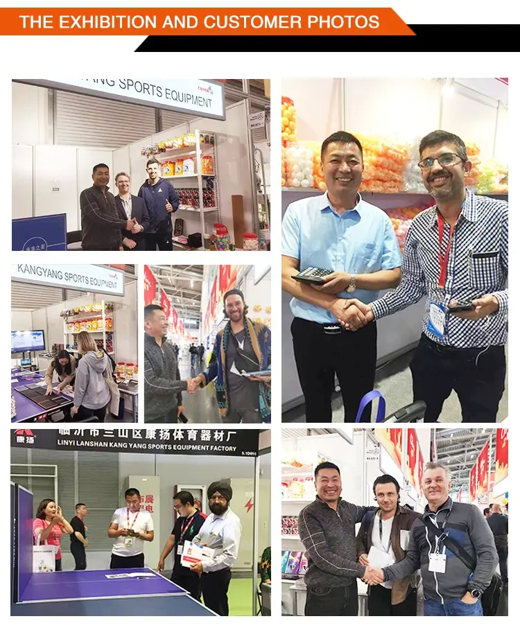 Folding Table Tennis Table with Wheels Indoor OEM (20)