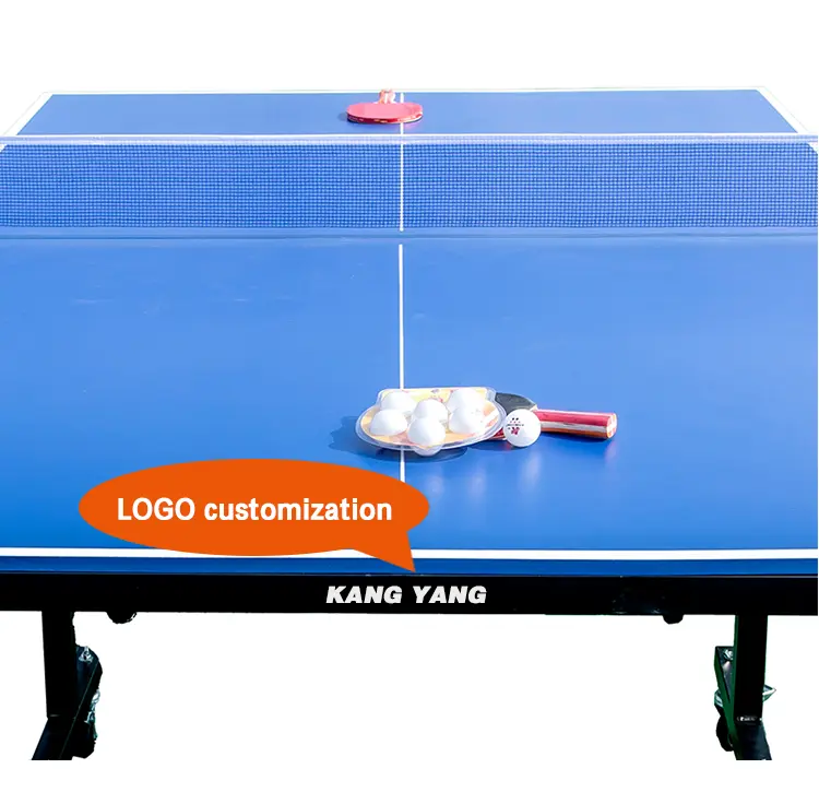 Outdoor Table Tennis Table (10)