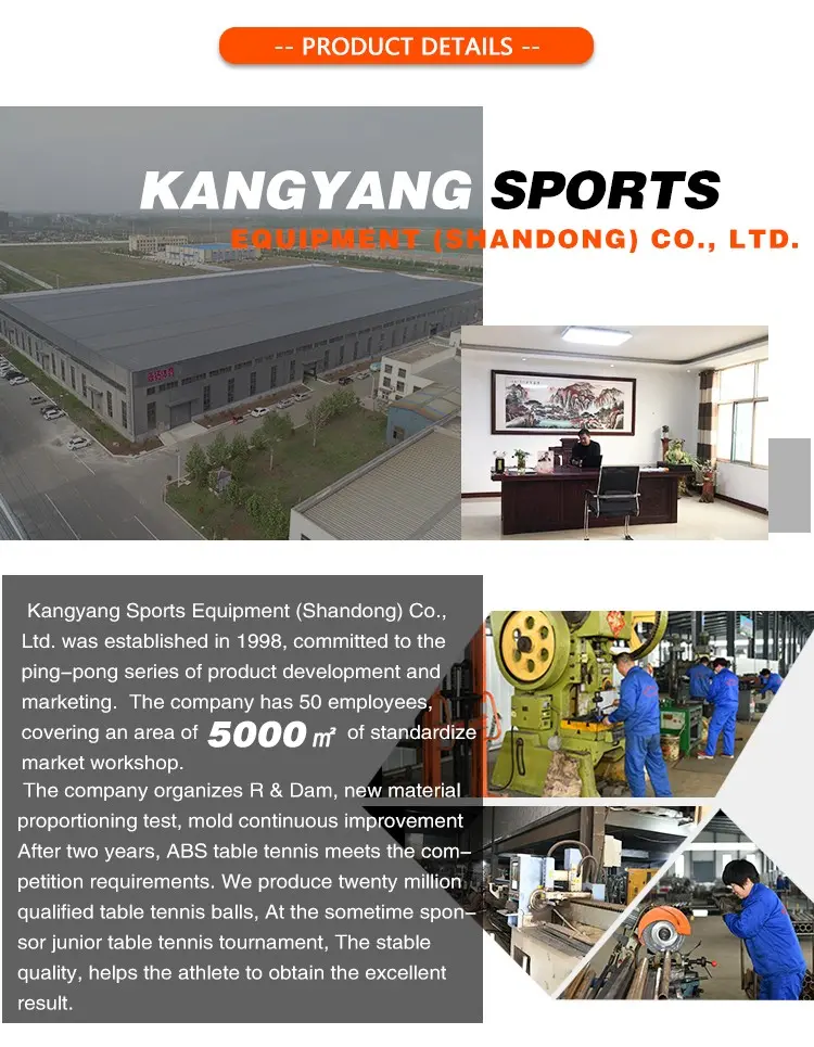 Folding Table Tennis Table with Wheels Indoor OEM (19)