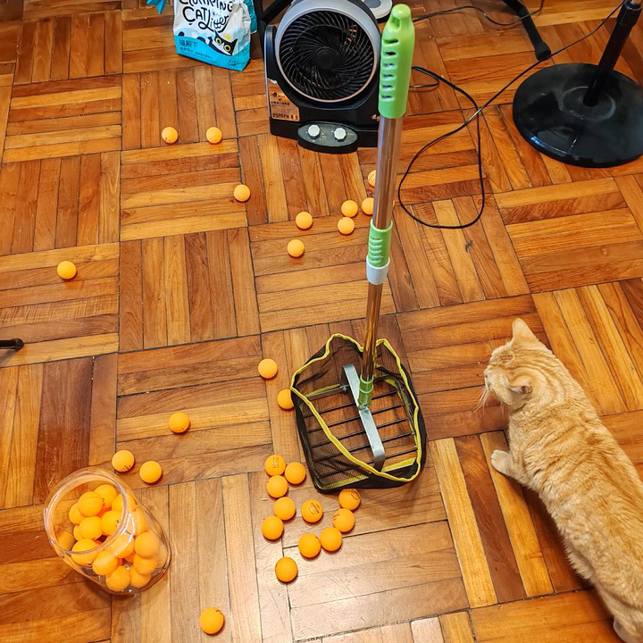 Adjustable Angle Ping Pong Ball Picker (4)